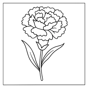 Carnation flower coloring page printable for kids and adults