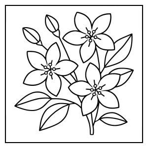 Jasmine flower coloring page with detailed petals and leaves for free printable coloring activity