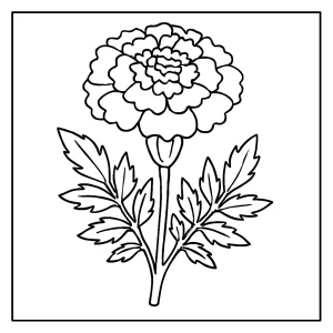 Marigold flower coloring page with detailed petals and leaves, printable and free for kids and adults