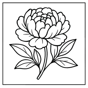 peony flower coloring page for free printable activities