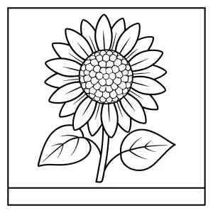 Sunflower coloring page – printable flower illustration to color