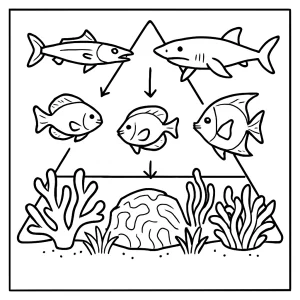 Coral reef food web pyramid coloring page with ecosystem species and arrows