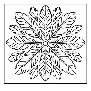 Feather plume mandala coloring page featuring intricate feather patterns for kids and adults to print and color.