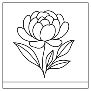 Minimal peony zen outline coloring page for free printable fun